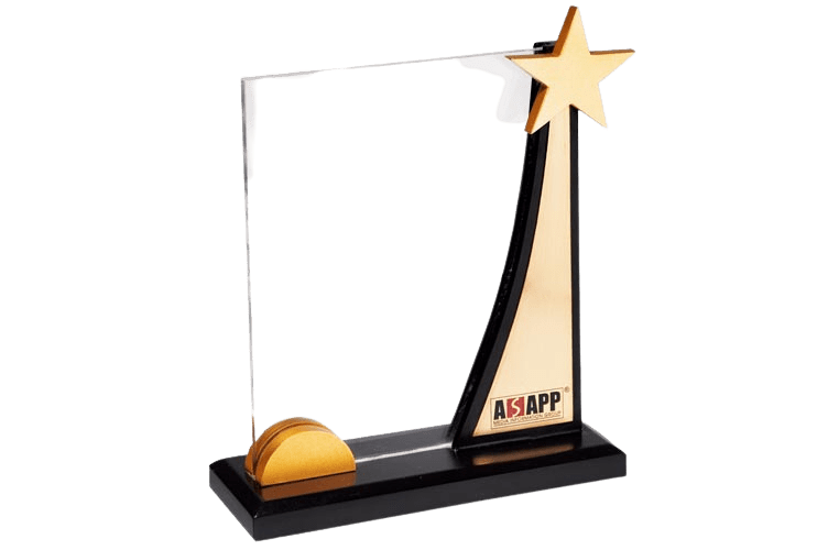 Rising Star Acrylic Corporate Trophy - AC3075