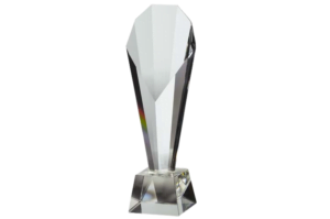 Customized Corporate Trophy - CG1031