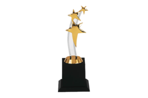 Acrylic Star Performance Trophy - WM2163